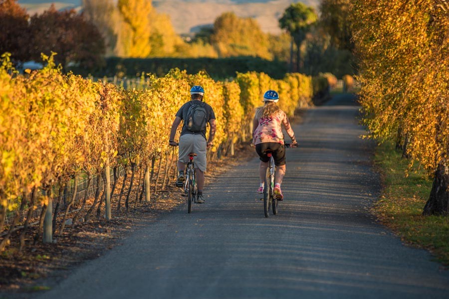 Top 14 things to do in Marlborough